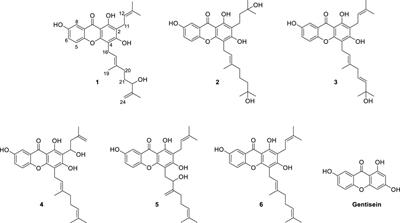 Investigation of bacterial neuraminidase inhibition of xanthones bearing geranyl and prenyl groups from Cratoxylum cochinchinense